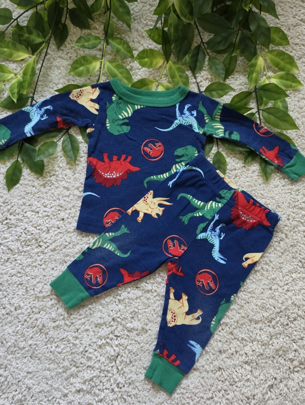 Baby Boy Jurassic World Pajamas (9-12 Months)
